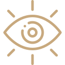 Luxury eyes | shared-vision